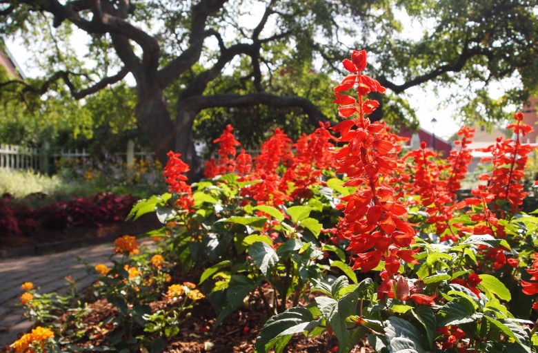 Prescott Park | Photographs of Portsmouth, NH