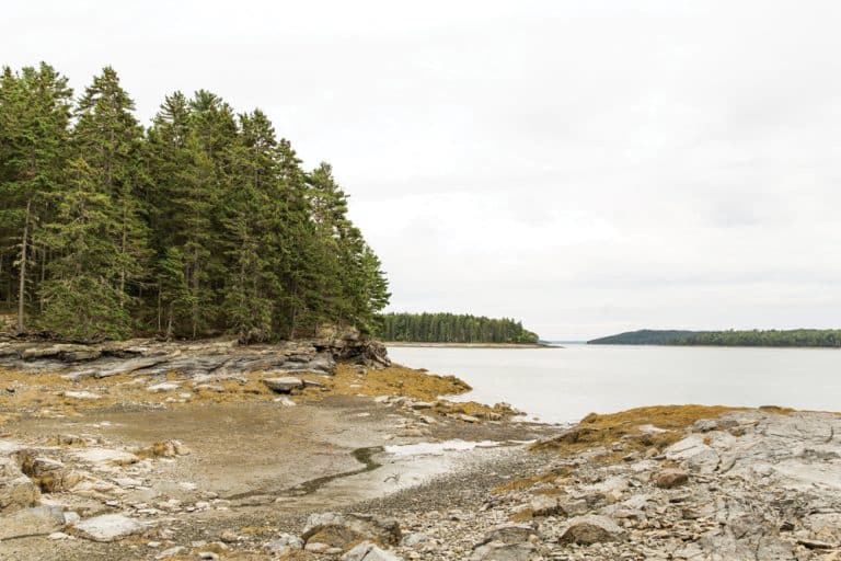 Spring means it's time to start surveying Maine streams - Maine