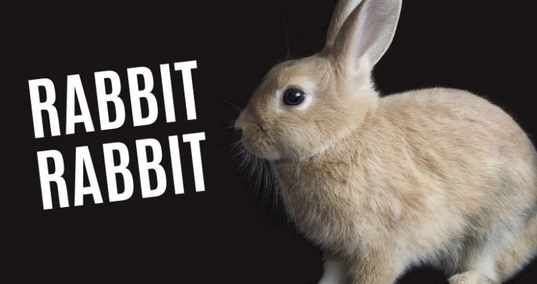 Why People Say Rabbit Rabbit On The First Day Of The Month