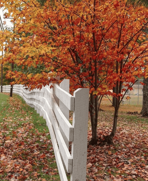 White picket fence in Berkshire, Massachusetts