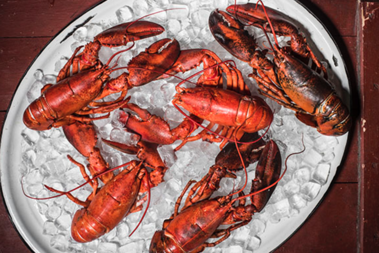 Cooked Lobster on Platter of Ice