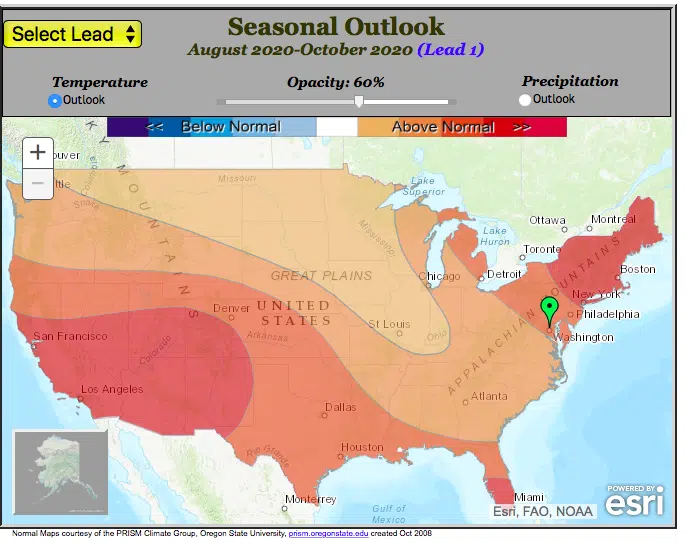 Forecast Autumn 2020
