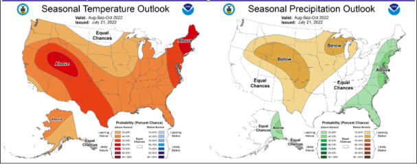 New England Fall Foliage | 2022 Forecast - New England Today