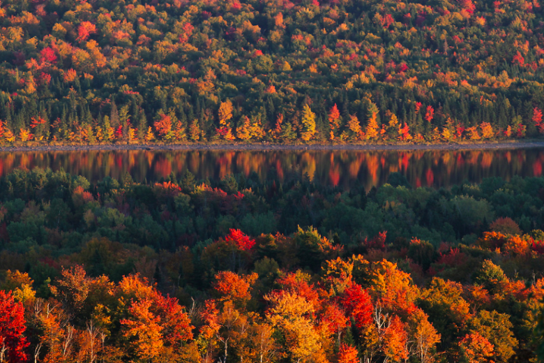 Brightest Foliage Colors