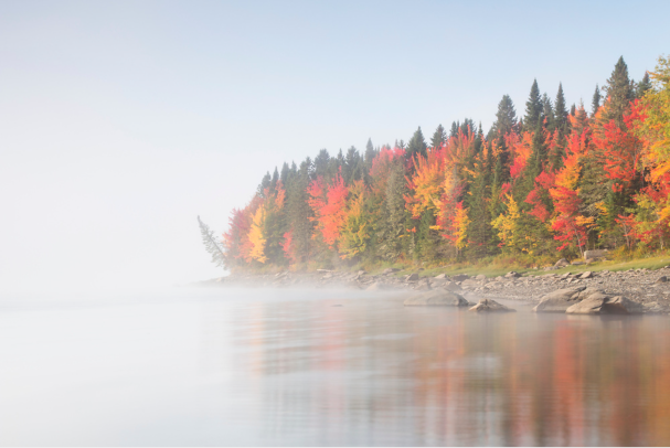 2022 New England Fall Foliage Update | Northern New England Readies For ...