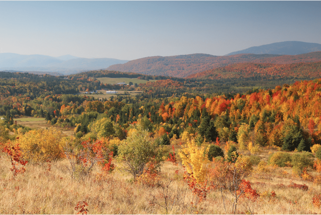 Where to Find Early Fall Foliage in New England New England