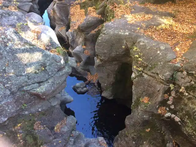 Copper-colored leaves of fall cover the rocks