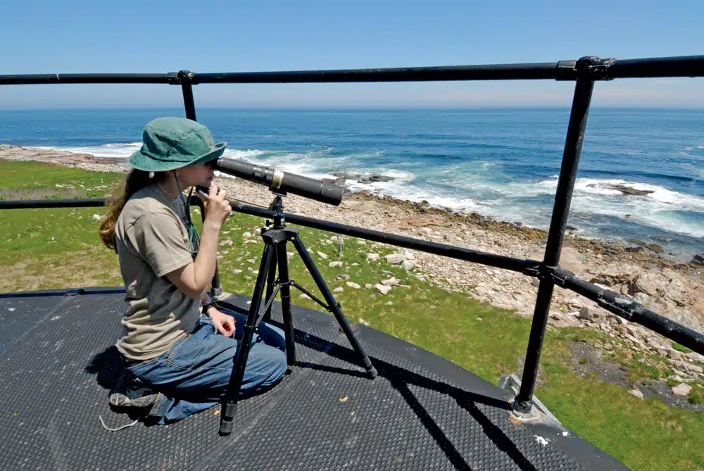 Environmental Studies on the New England Coast