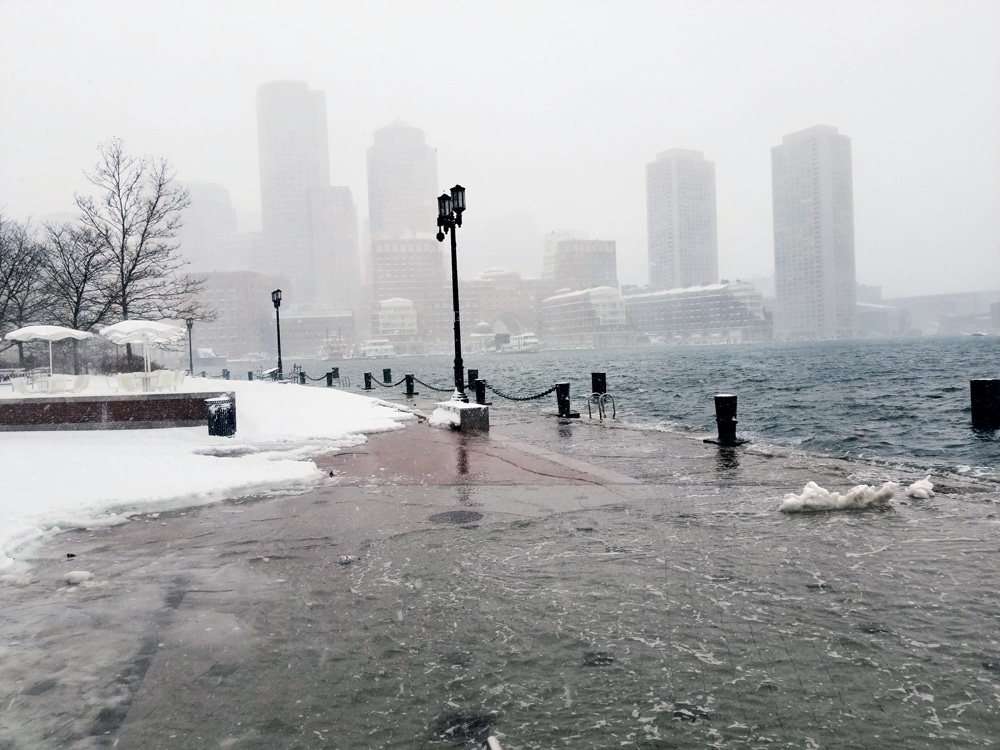 Boston’s Fan Pier Park 