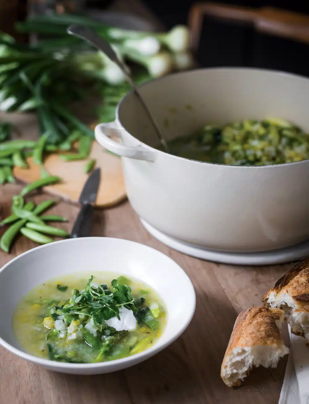 Spring Vegetable Soup