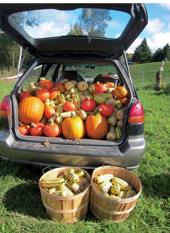 One in a long line of Subarus owned by the Hewitts, this 1996 Outback is shown earning its keep hauling a harvest of winter squash from the family garden. “I’ll bet we loaded at least 500 pounds,” says Ben. “But that’s being real conservative.”