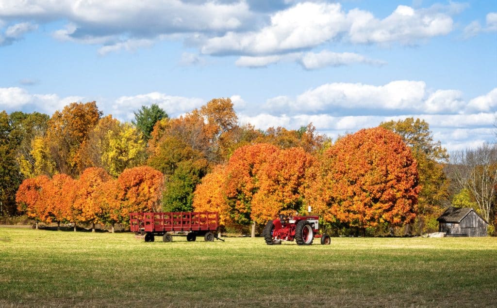 Discover Fall Farms and Festivals in Central Massachusetts New England