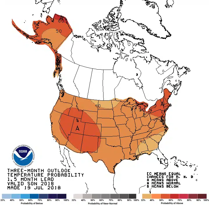 Temperature Forecast