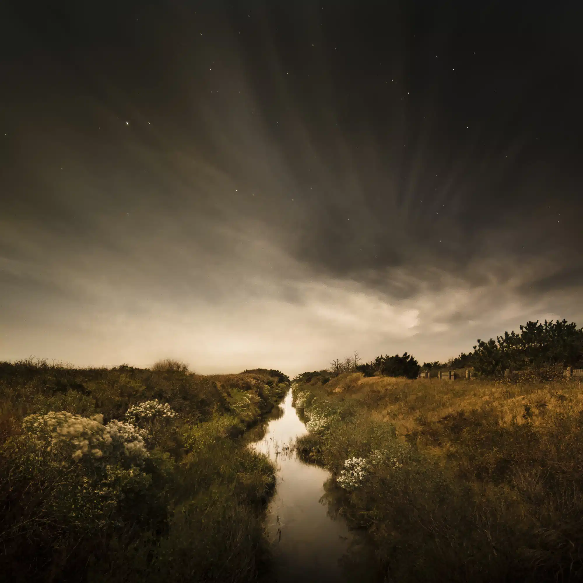 The Creek