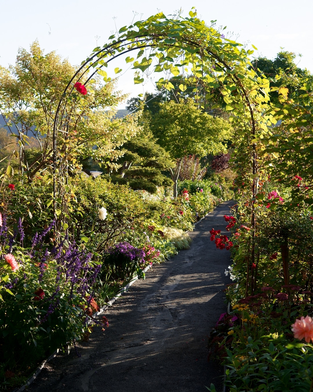 The Mohawk Trail The Ultimate Massachusetts Scenic Drive New
