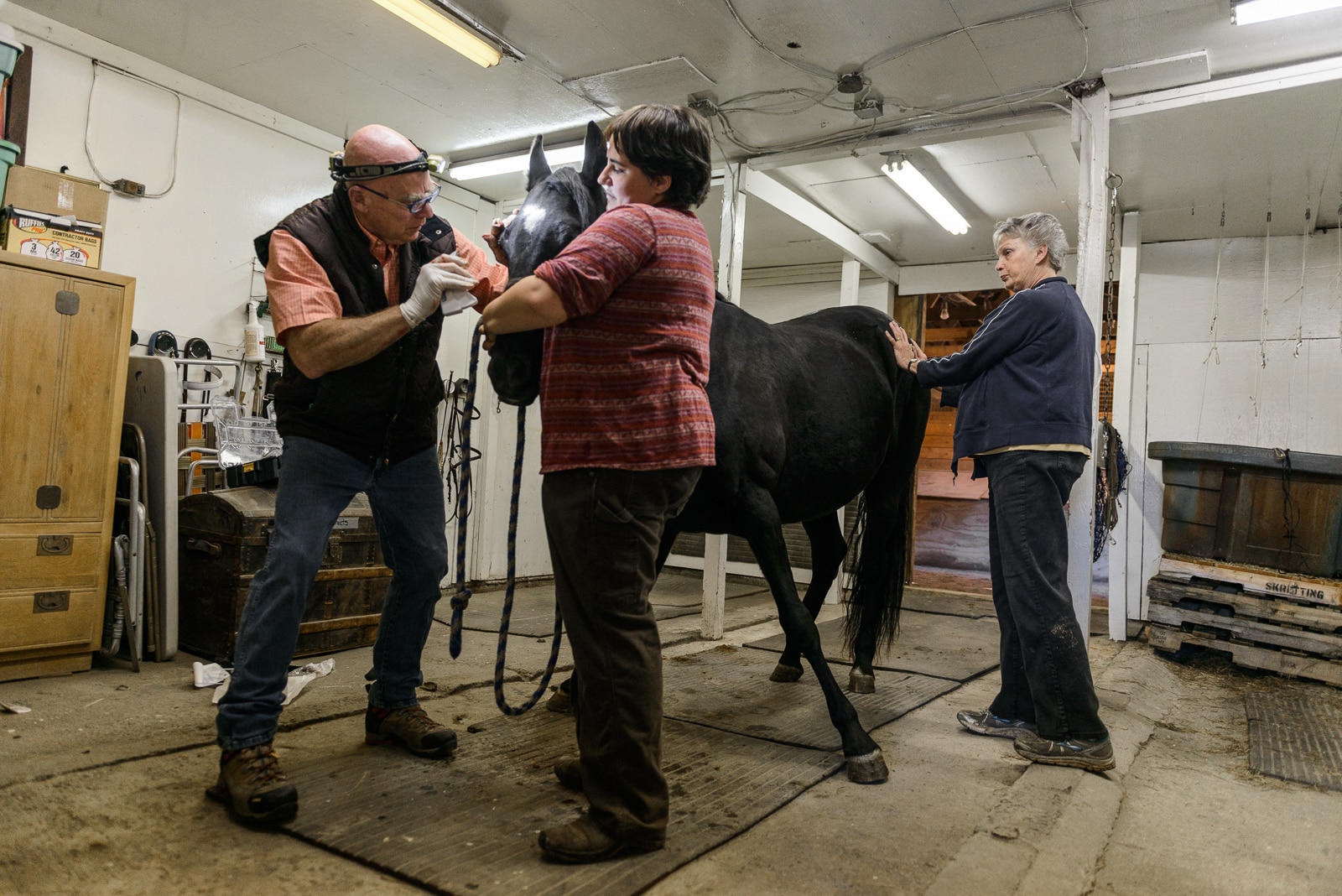 DVM Stuwe sews up the eyelid of a horse at Water Tower Farm in Marshfield, VT.