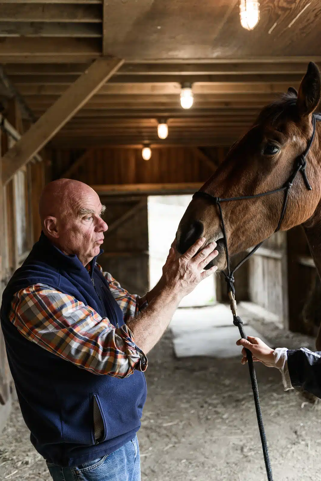 DVM Stuwe performs a Coggins test on a horse in Waitsfield, VT.