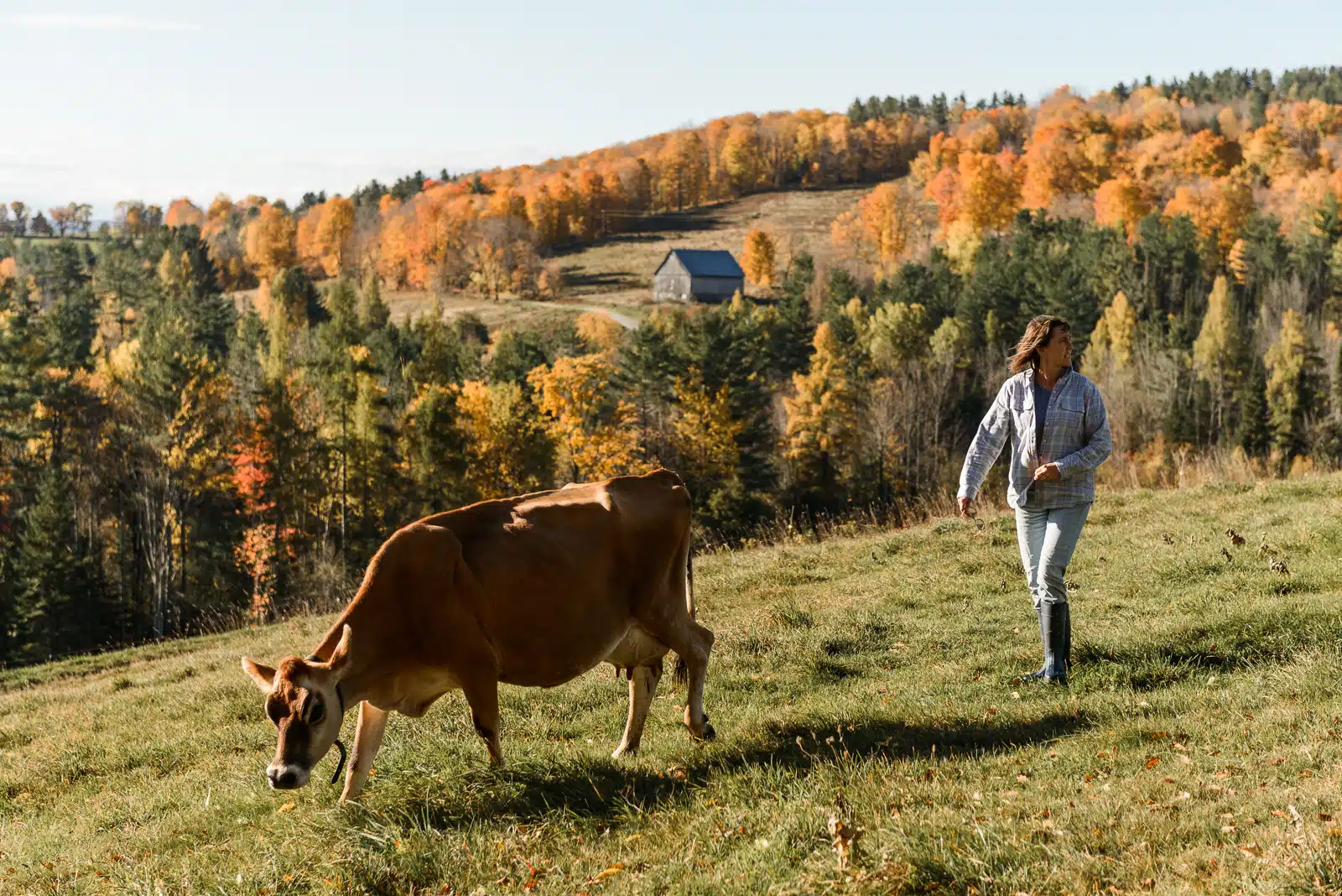 A beautiful view from the back field of the Carpenter Farm in Cabot, VT.