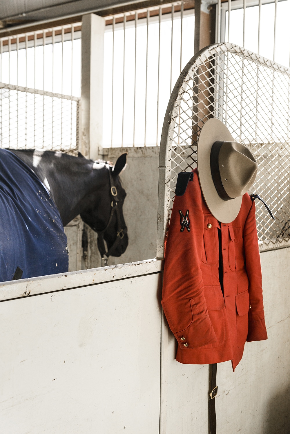 Uniform and horse of the Royal Canadian Mounted Police in the barn before they take the "stage" in the main arena.