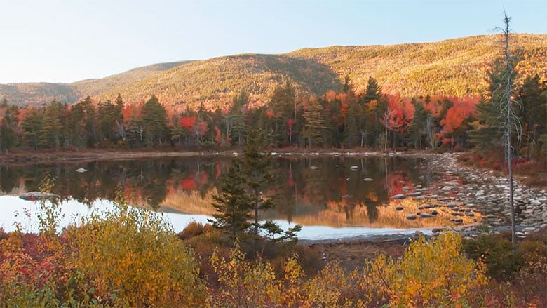 Episode 212: Fall Foliage