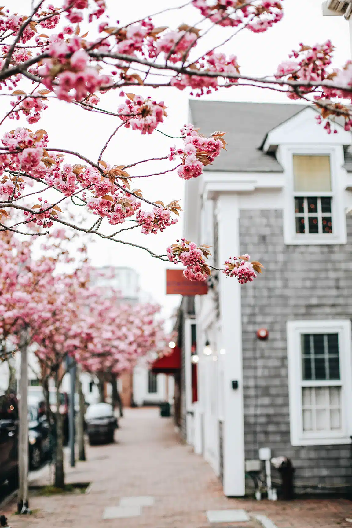 Scenes From Nantucket | Featured Photographer Georgie Morley