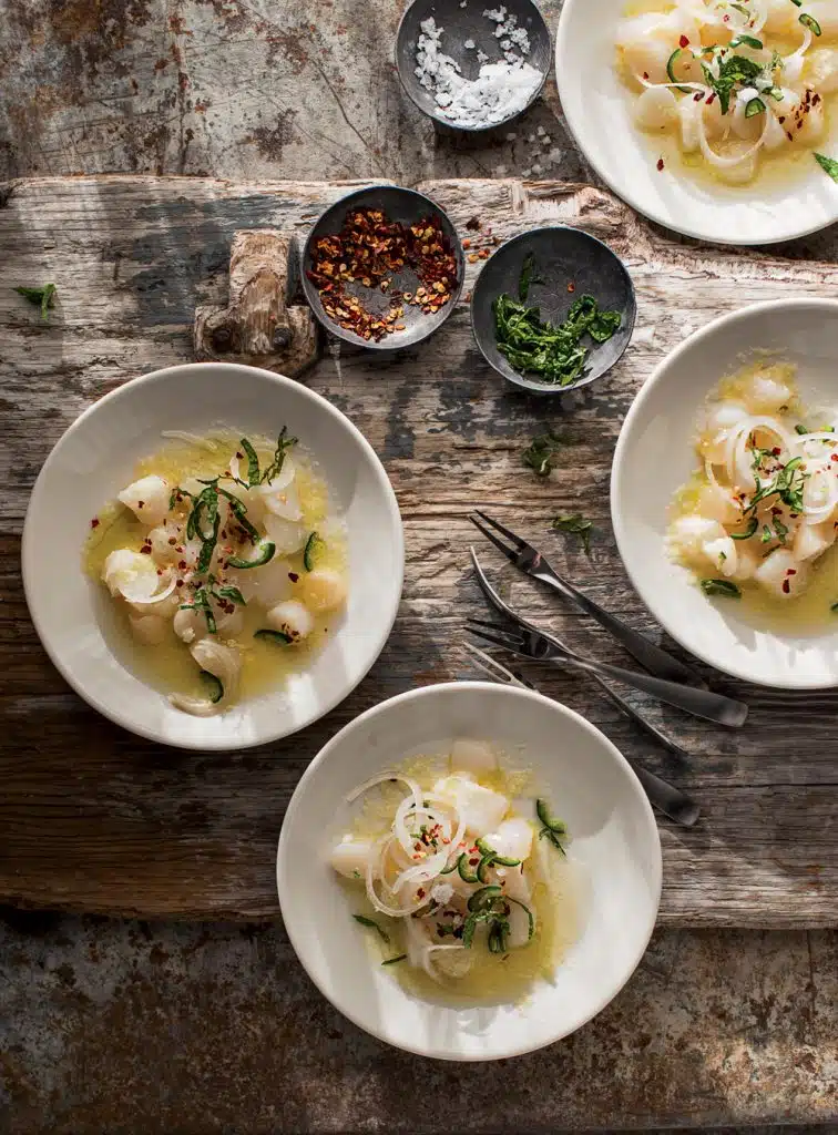 Scallop Crudo with Citrus-Ginger Sauce