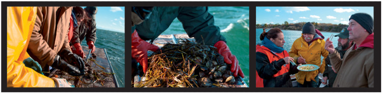 Scalloping includes plucking them from the sea and transforming them into scallop crudo with citrus-ginger sauce.