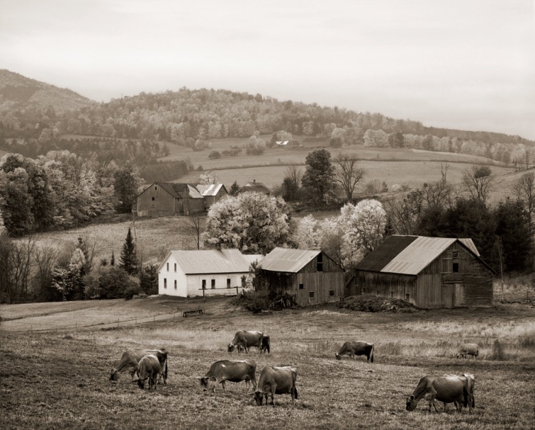 The Last of the Vermont Hill Farms Photos by Richard W. Brown