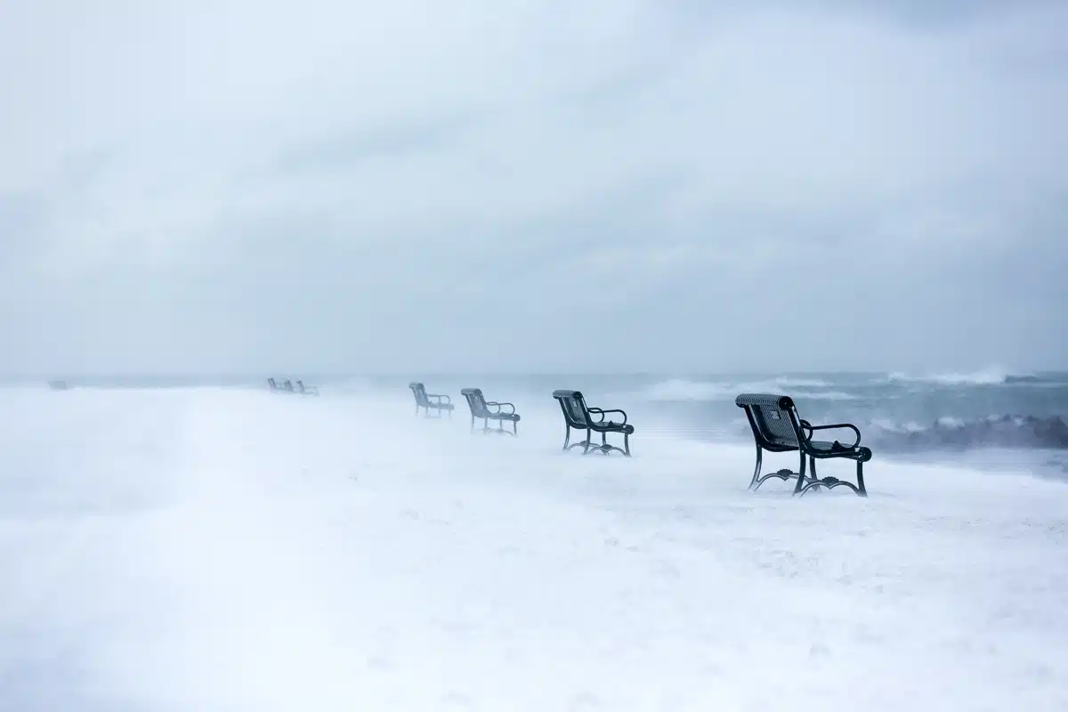 Winter Benches - Ocean Drive - Newport, Rhode Island.
