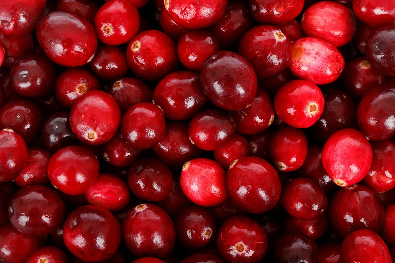 favorite-cranberry-recipes-holiday-dishes-new-england-today