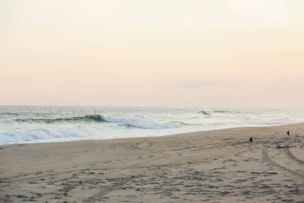 Scenes From Nantucket | Featured Photographer Georgie Morley
