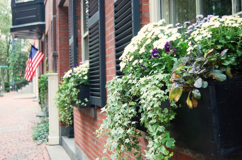 When strolling Beacon Hill, don't forget to enjoy the beautiful window boxes. 