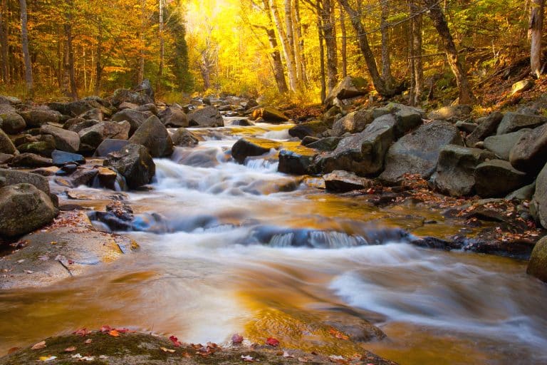 Where to See Fall Foliage This Weekend | 2026