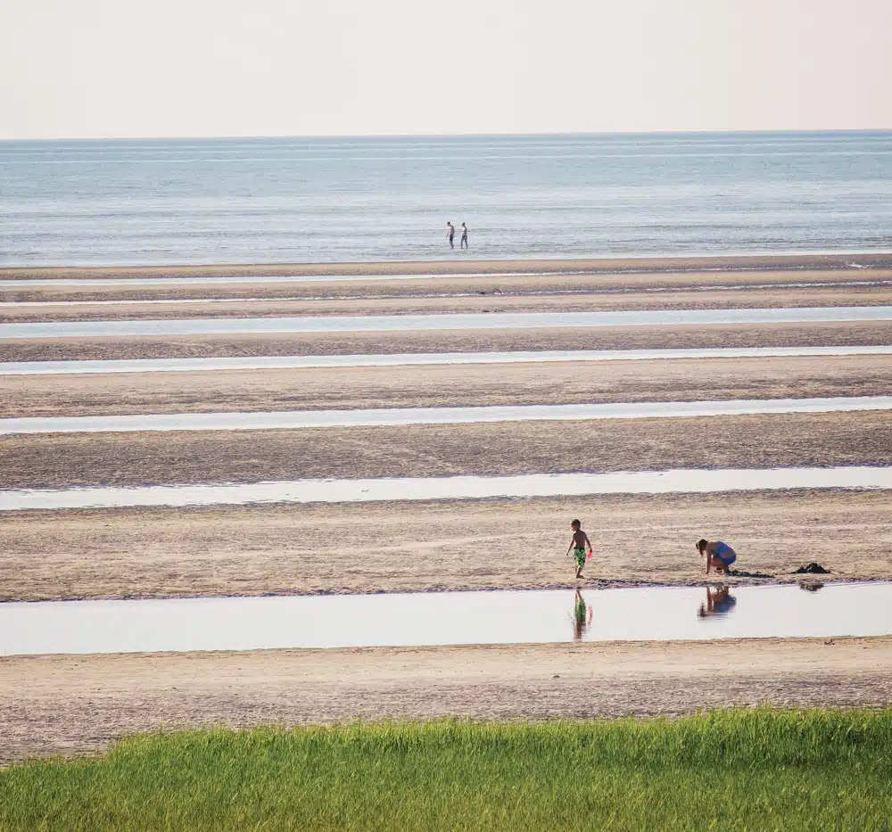 The Best Family Beaches in New England
