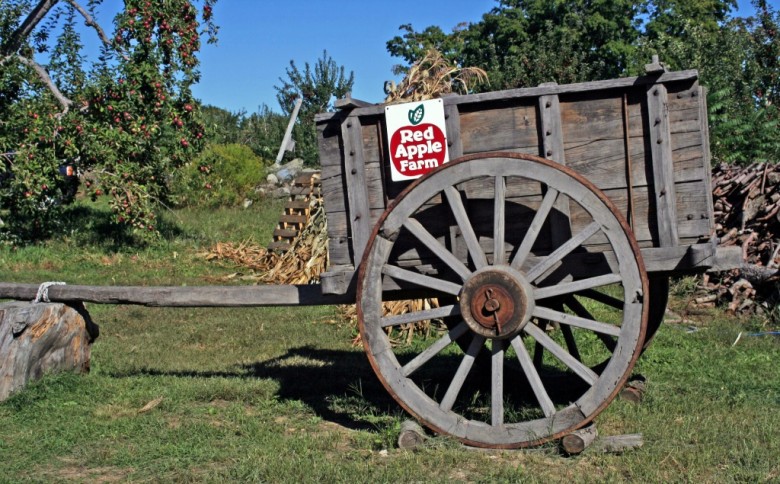 Best Apple Orchards in New England