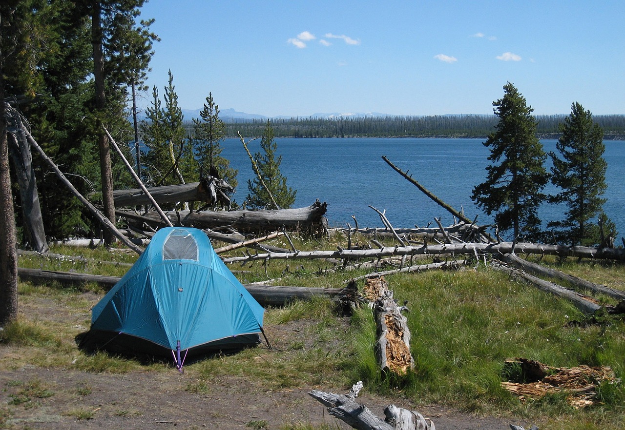 14+ Summer Camping Trips Near Me