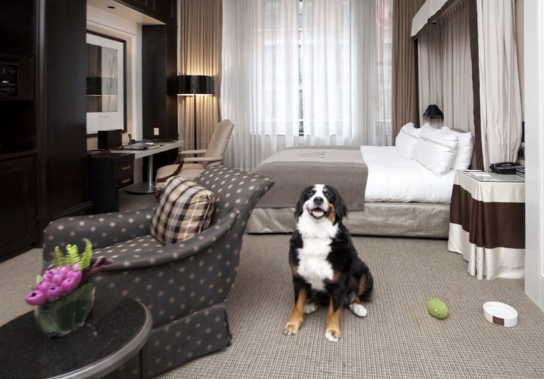 Best dog best sale hotels near me