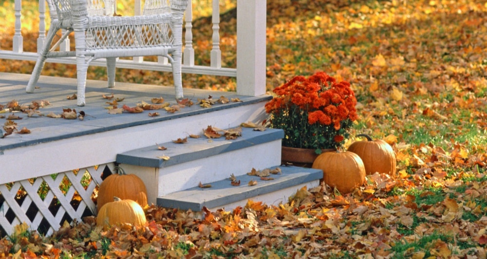 Porch in autumn
