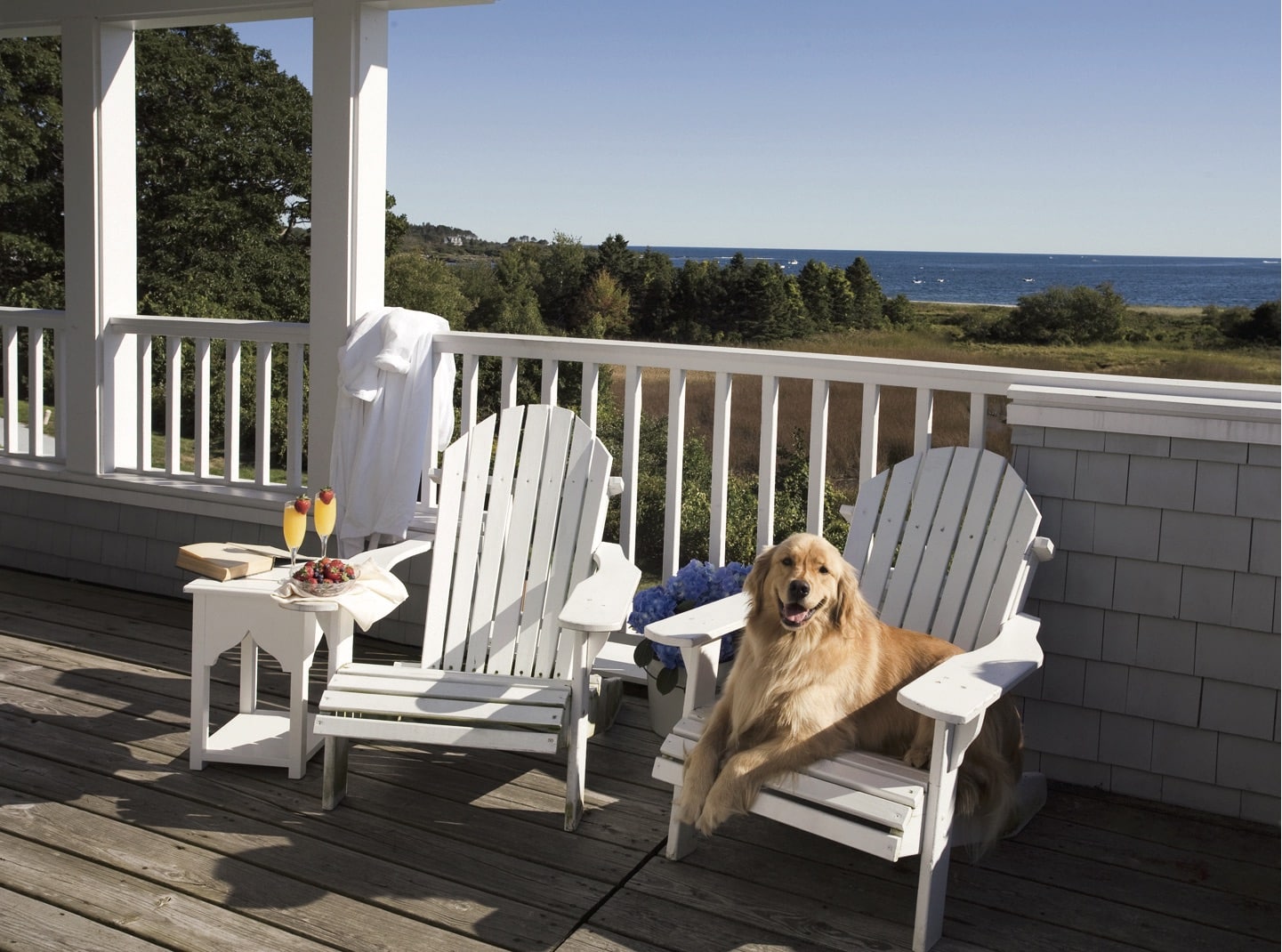 Inn by the Sea, Cape Elizabeth | Favorite Oceanfront Hotels in Maine