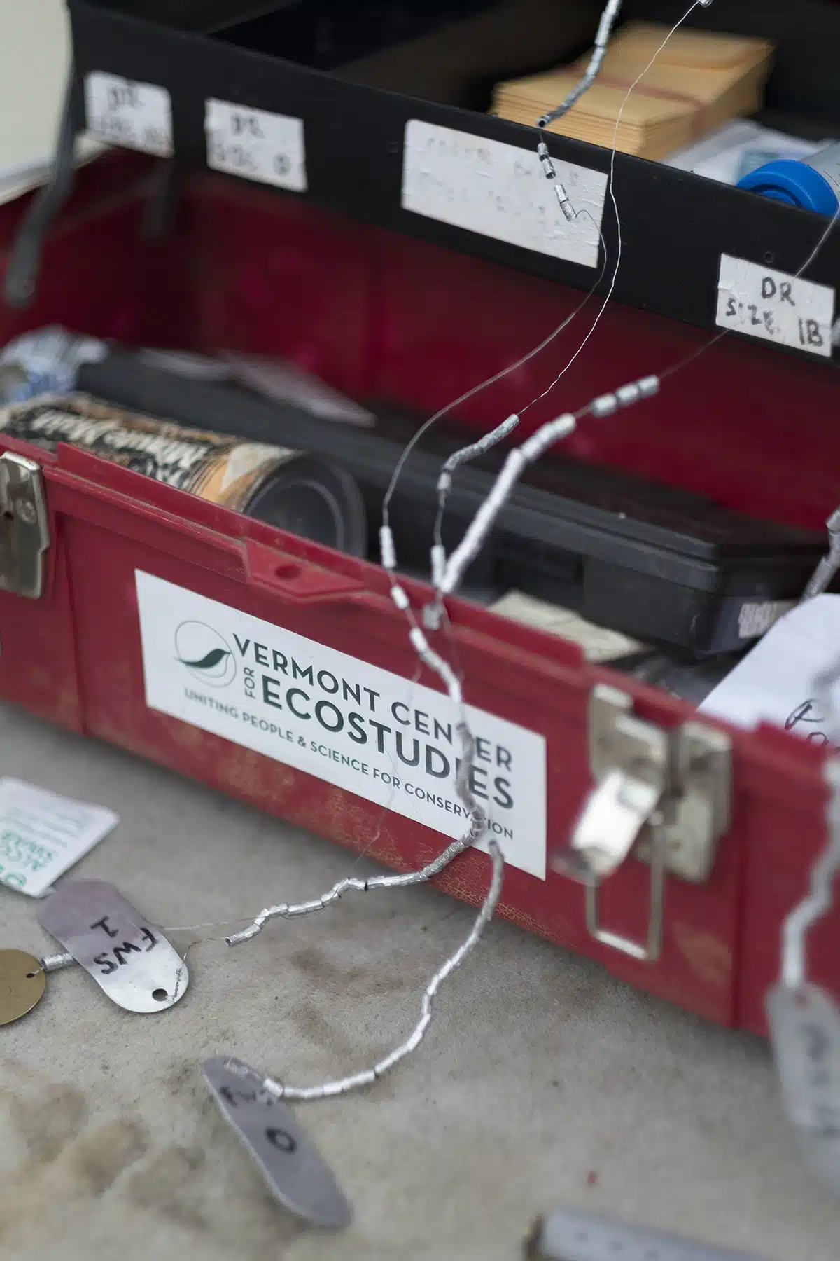 Scenes From the Vermont Center for Ecostudies