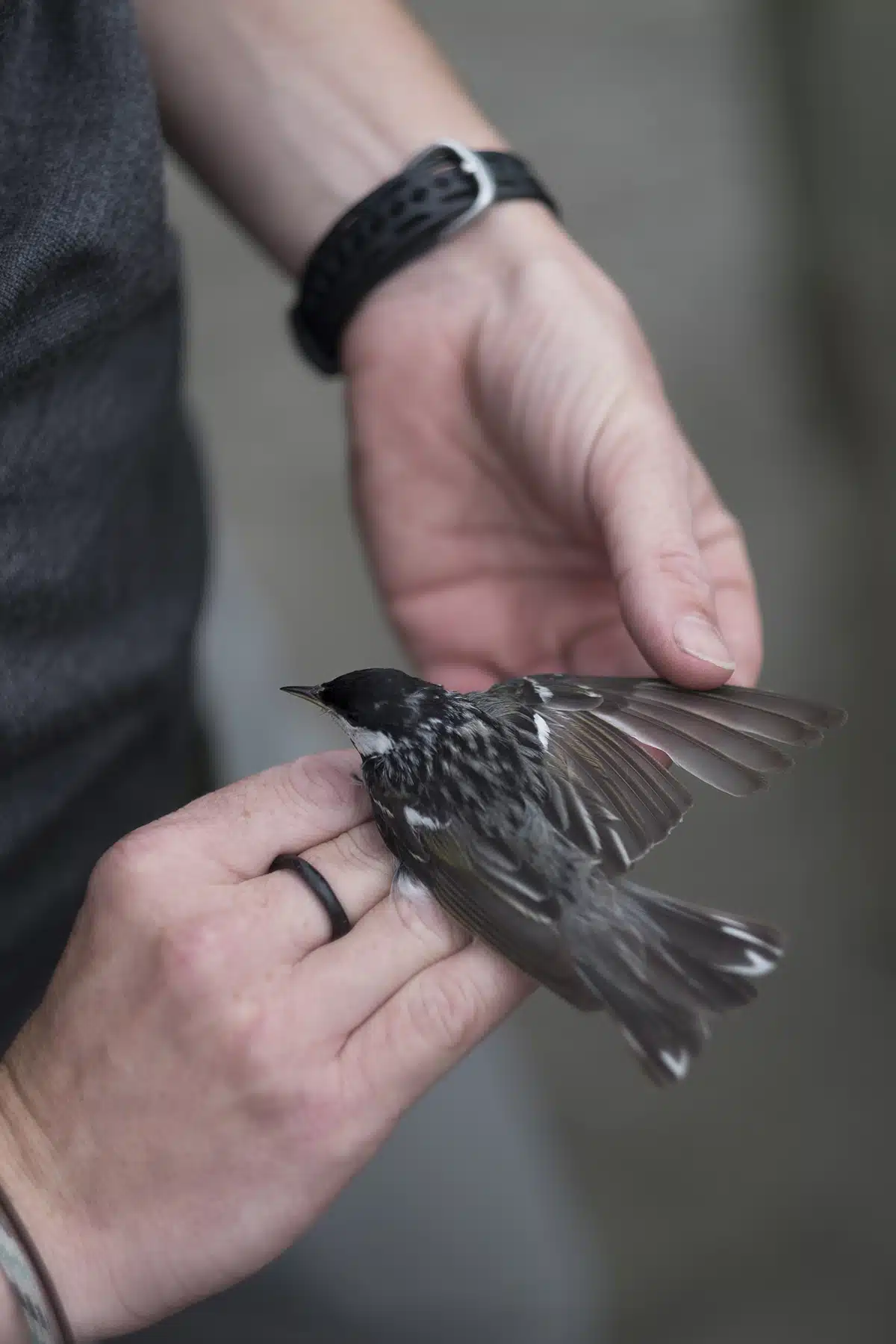 Scenes From the Vermont Center for Ecostudies