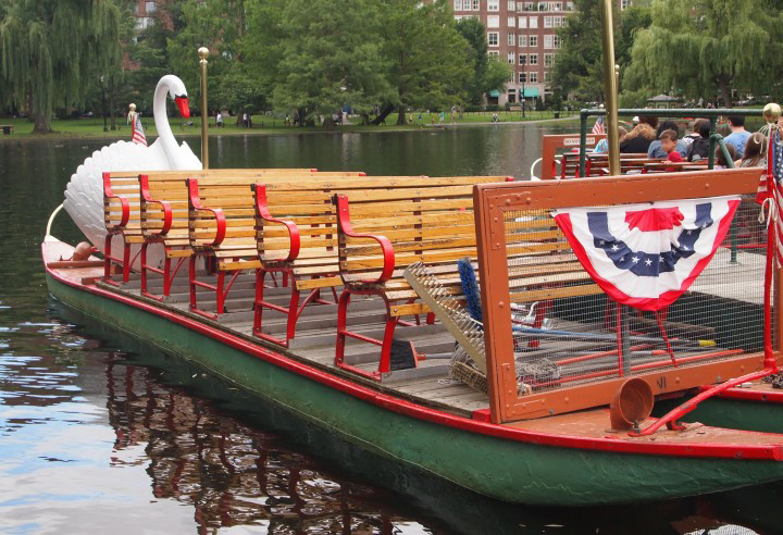 Swan Boats Photo by Bethany Bourgault
