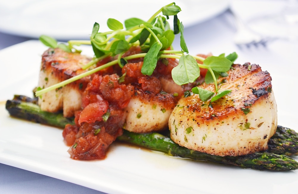 The Cape Cod Hydrangea Festival New England Today