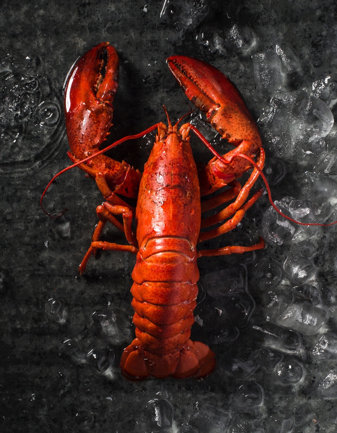 5 Mistakes To Avoid When Cooking Lobster | Yankee Magazine