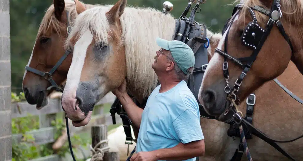 Scenes from Coppal House Farm in Lee, New Hampshire | Weekends with Yankee