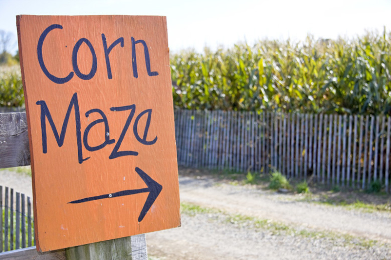 Best Corn Mazes in New England