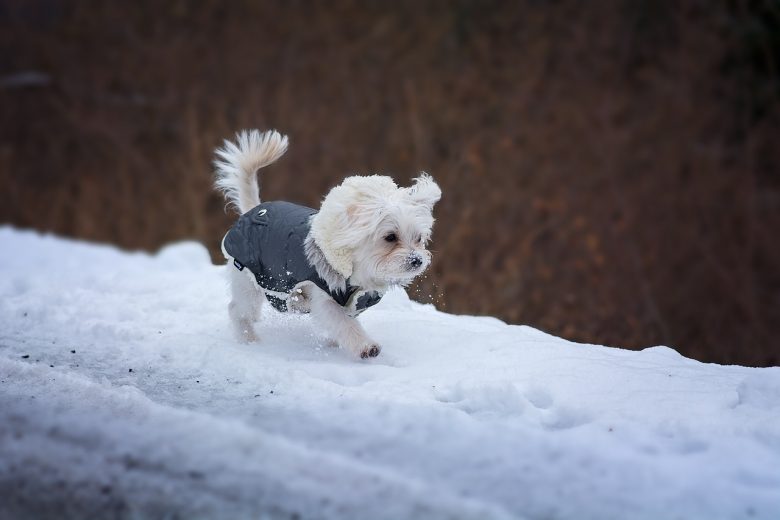 Ways New Englanders Embrace the Cold That Are Only Normal to Us