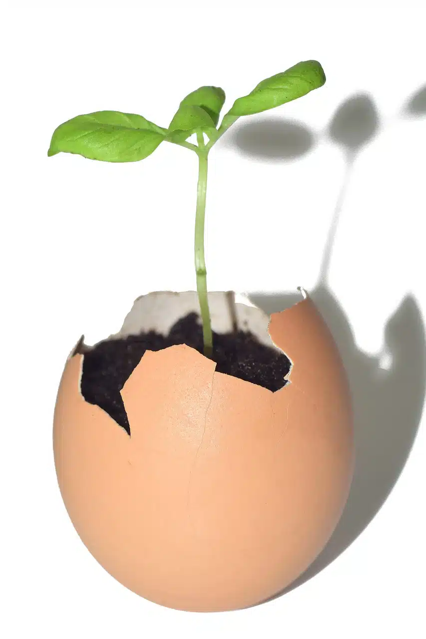 Recycled Plant Containers