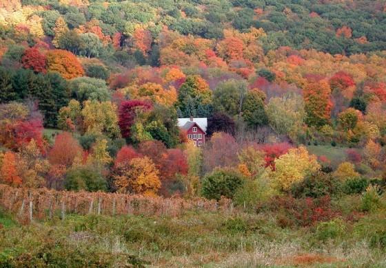 Surrounded by Color - New England Today