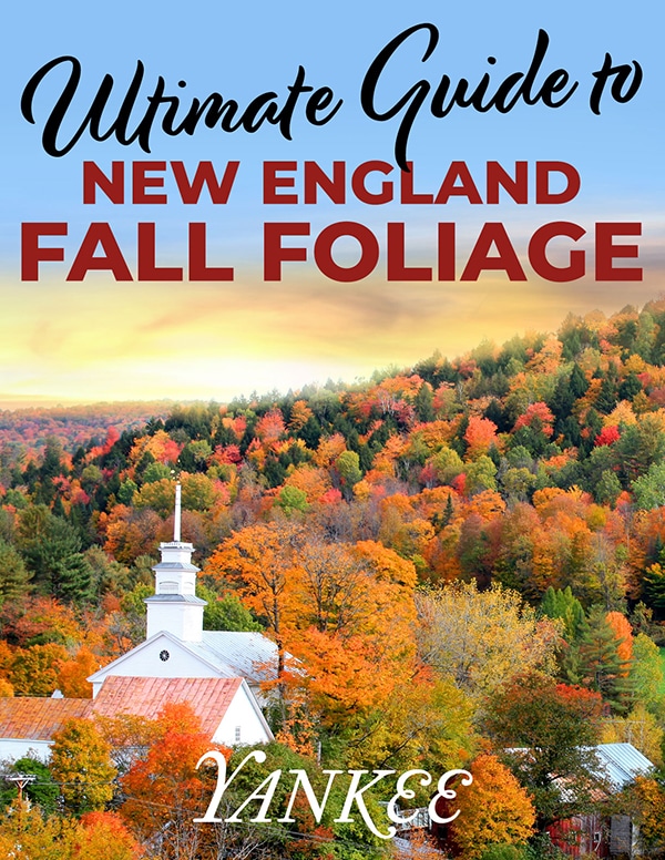 fall-foliage-guide-cover-600px